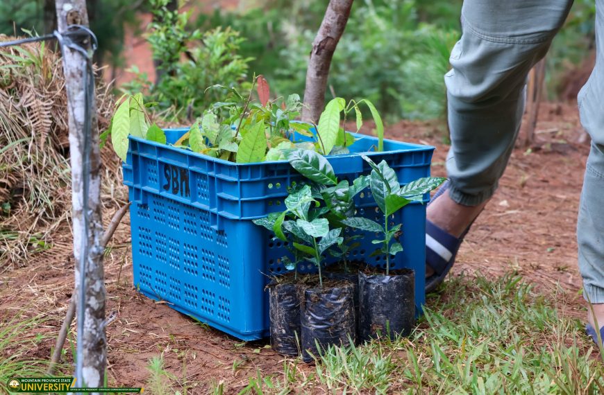 𝗣𝗹𝗮𝗻𝘁𝗶𝗻𝗴 𝗛𝗼𝗽𝗲 𝗮𝗻𝗱 𝗟𝗲𝗴𝗮𝗰𝘆: 𝗧𝗿𝗲𝗲 𝗣𝗹𝗮𝗻𝘁𝗶𝗻𝗴 𝗔𝗰𝘁𝗶𝘃𝗶𝘁𝘆 𝗛𝗲𝗹𝗱 𝗶𝗻 𝗦𝗼𝘆𝘀𝗼𝘆𝗼𝗰, 𝗧𝗮𝗽𝗮𝗽𝗮𝗻, 𝗕𝗮𝘂𝗸𝗼