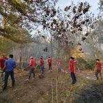 MPSPC Tadian Campus and BFP Responders Extinguish Forest Fire at Arena B
