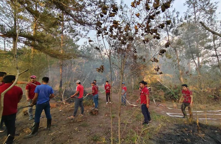 MPSPC Tadian Campus and BFP Responders Extinguish Forest Fire at Arena B