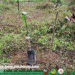 Land management and care