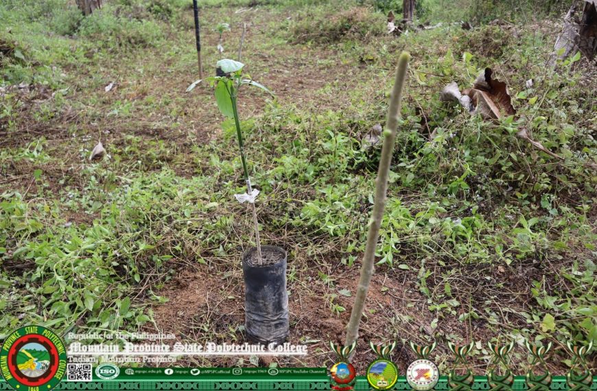 Land management and care