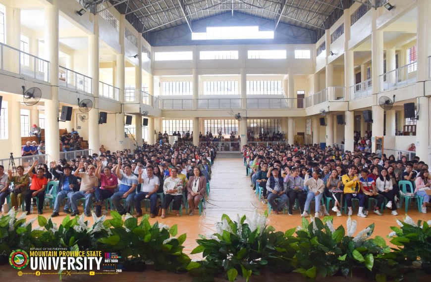Tulong Dunong Program grant distributed to 595 grantees in MPSU