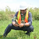 TREE PLANTING at MPSU Paracelis Satellite held