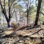 MPSPC Collaborates with BFP and PNP to Suppress Forest Fire Near Faliling Campus