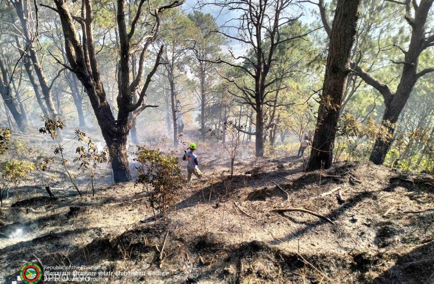 MPSPC Collaborates with BFP and PNP to Suppress Forest Fire Near Faliling Campus
